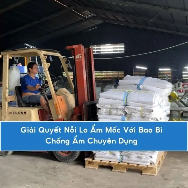 Giải Quyết Nỗi Lo Ẩm Mốc Với Bao Bì Chống Ẩm Chuyên Dụng